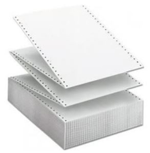Papel Formulario Continuo 12x9,5 2V Branco Cx.1000Fls