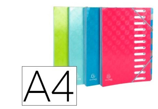 Pasta Exacompta Harmonika Classificadora Fole 12Departamentos com Elasticos Cartao Compacto Cores Sortidas