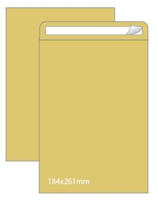 Envelope Saco Neutral B5 Kraft 184x261 Tira de Silicone Cx.250un