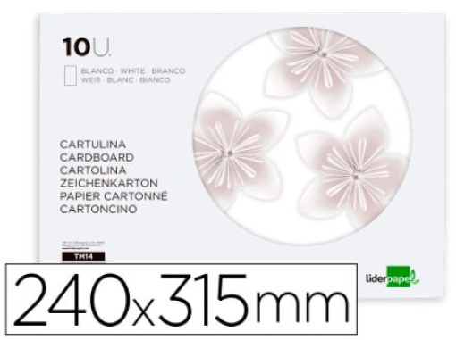 Bloco Trabalhos Manuais Liderpapel Cartolina 240x315mm 10 folhas Cor branco (TM14)
