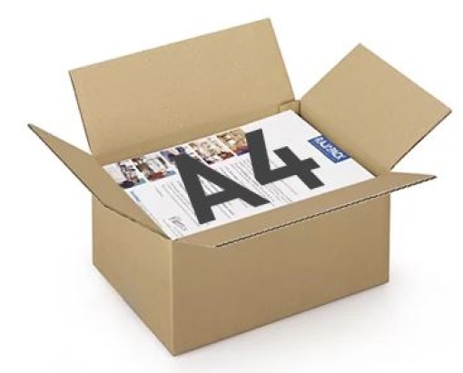 Caixa Cartao Simples 312x225x152mm (0,0106m3) Pack 25un