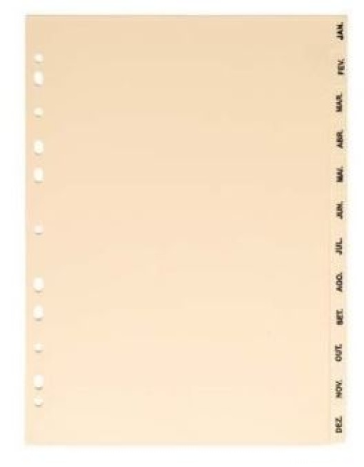 Separador Cartolina SmartD A4 Jan/Dez