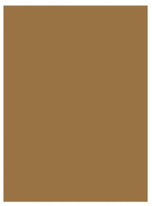 Cartolina Neutral A4 Castanho Terra 10T 180gr Pack 125Folhas