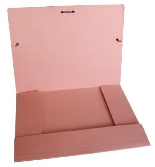 Pasta Cartolina 350gr 310x230 Abas C/Elast Salmao