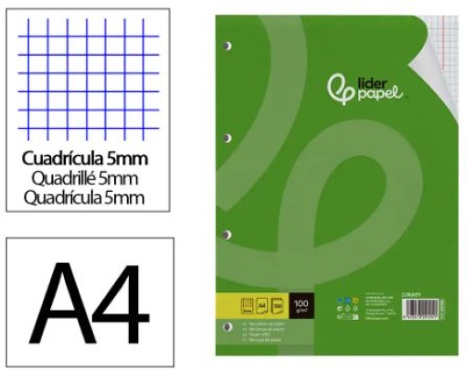 Recarga Liderpapel A4 Quadriculado 100g 100fls (RA01)