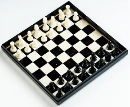 Jogos de Mesa Xadrez Magnetico 20x161x2,2 (130012240)