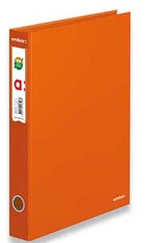 Pasta de Aquivo Ambar L40 Laranja Lisa
