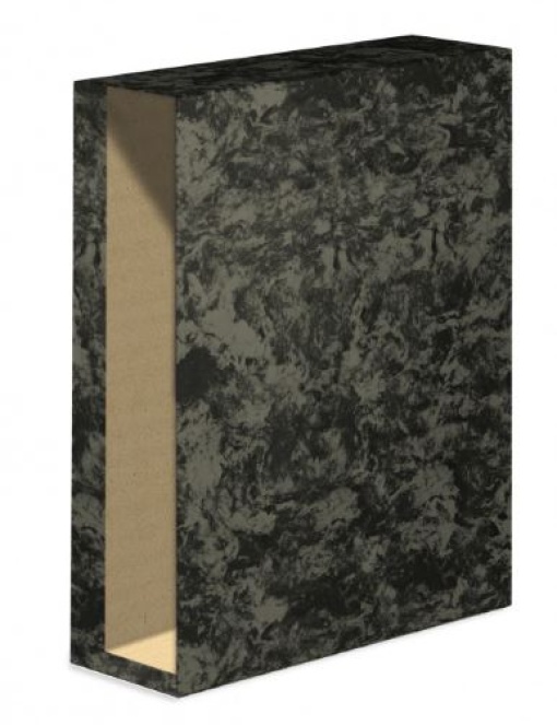 Caixa P/Pasta Arquivo Ambar L80 Comercial
