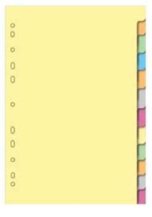 Separador Cartolina A4 Ref.180/10 Cores 
