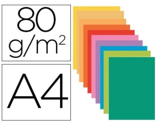 Classificador Exacompta Cartolina 80gr A4 Cores Sortidas