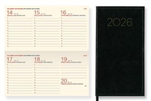 Agenda Condor Excel Fsc Mix B15 8x15 Semanal Bolso Preto 2026