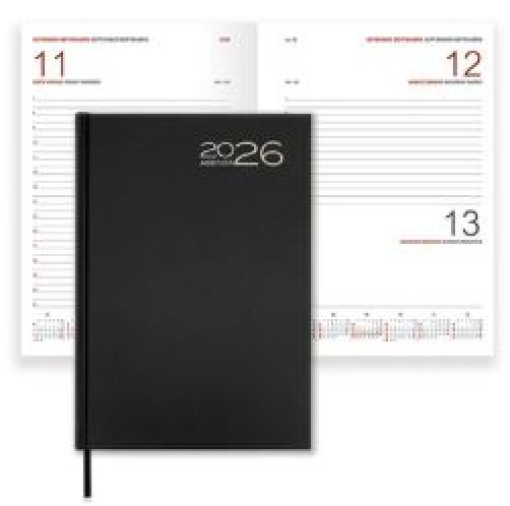 Agenda Orion Fsc Mix A21 14x21 2026 Diaria Preto