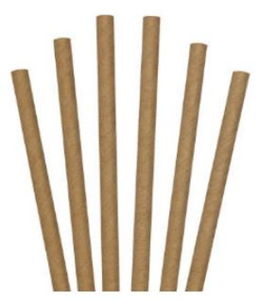 Palhinha Papel Kraft 20cmx6mm Pack 100un