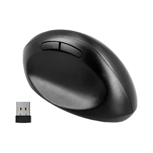 Rato Wireless Q-Connect Ergonomico Vertical Preto ( KF15116)
