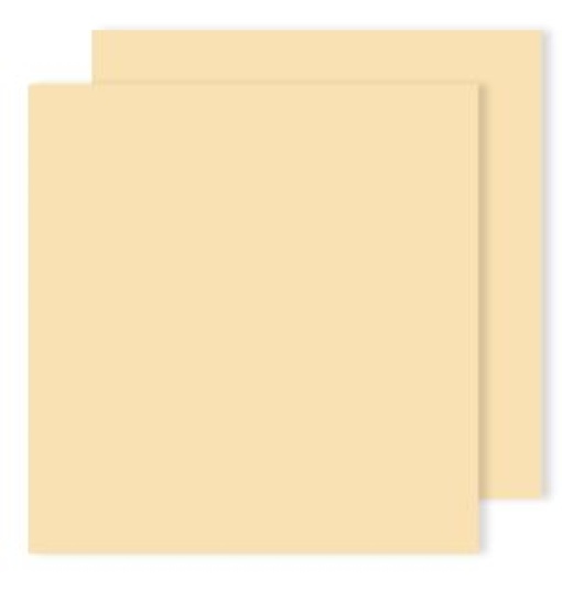 Cartolina Canson 50x65cm 240g Creme Emb.25fls