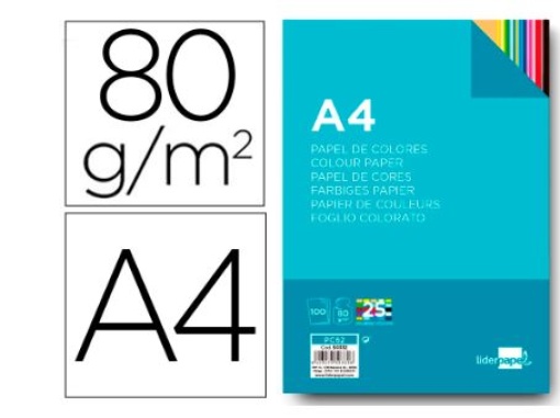 Papel Cor Liderpapel A4 80gr Pack 100folhas 25 Cores Sortidas (PC62)